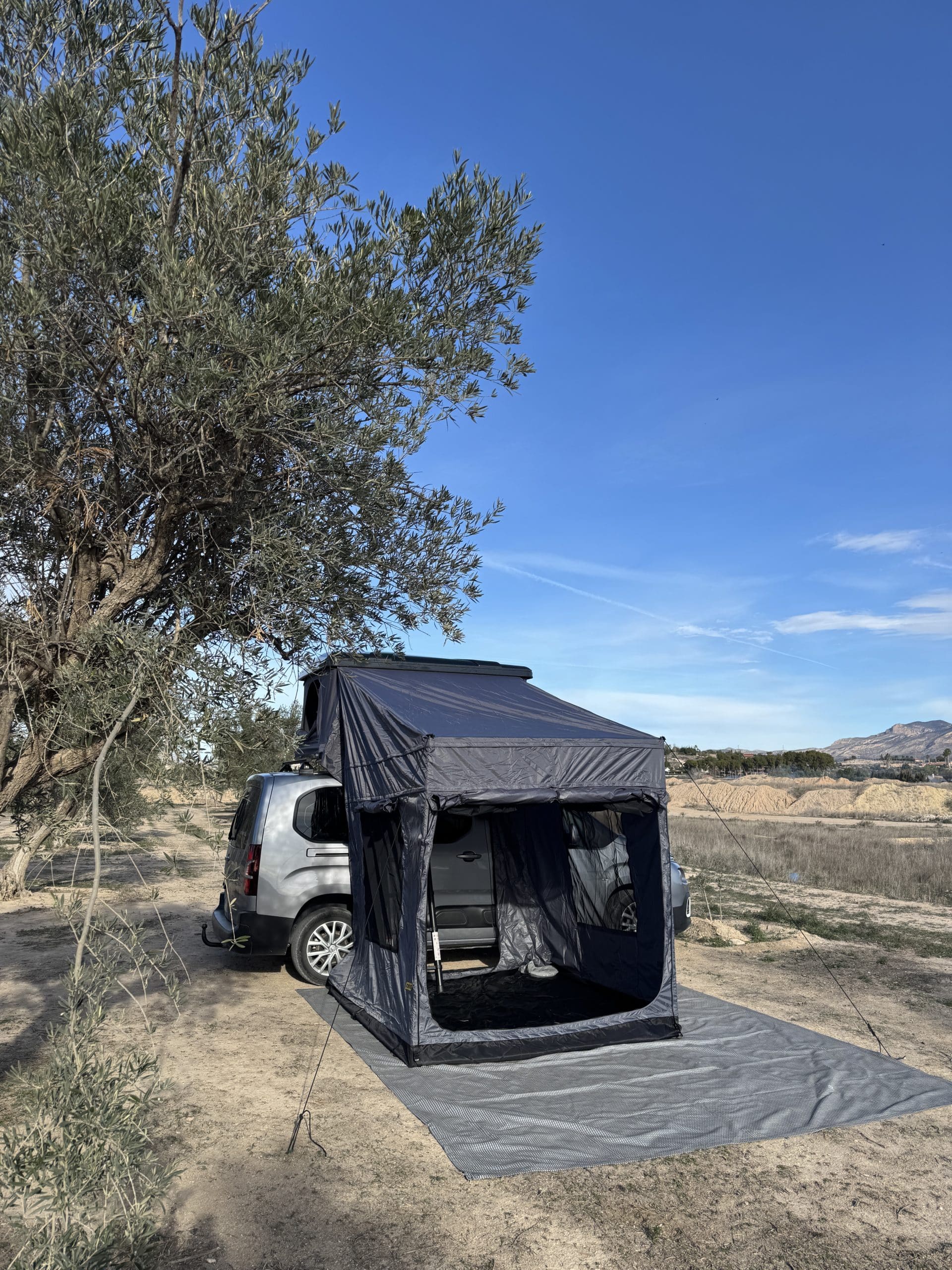 Avance Jovive New Classic - jovive